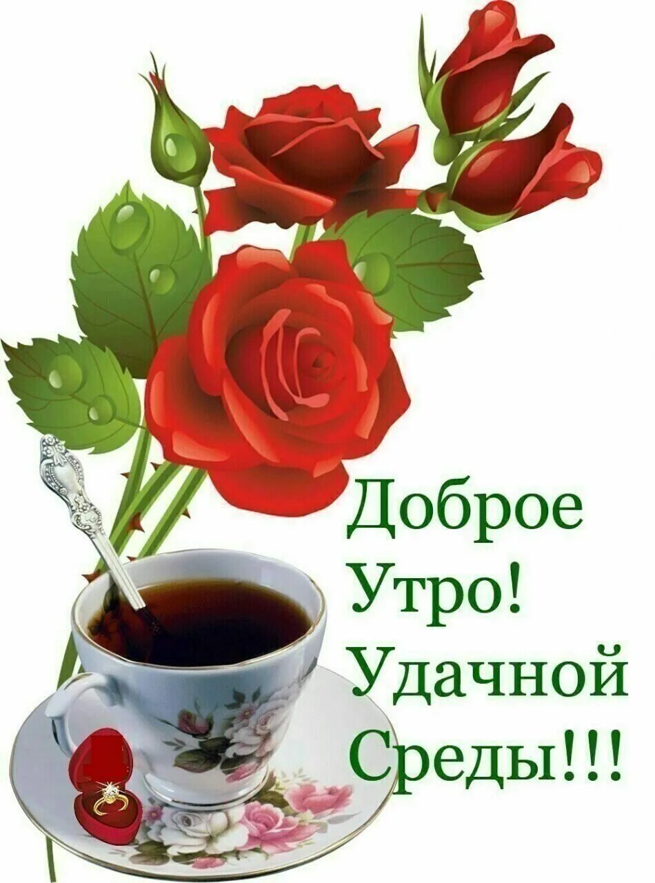 Среда доброе утро цветами. Открытки с добрым утром. красивые пожелания с добрым утром. открытки с добрым утром красивые. с добрым утром картинки красивые.