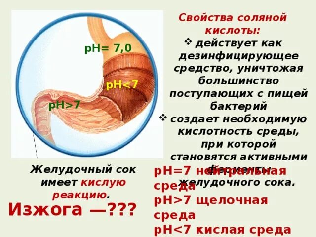 Признаки характеризующие желудочный сок. Кислая среда в желудке. Среда желудка PH. Среда PH В кишечнике и желудке. PH среда желудка человека.