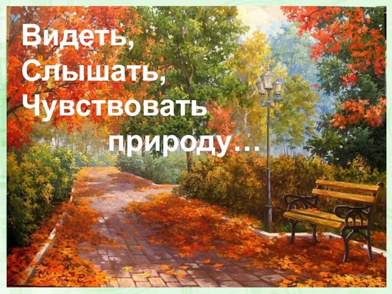 Чуять слышать. Вижу слышу чувствую. Слышать природу. Видеть слышать осязать. Видит слышит чувствует осязает.