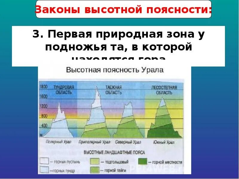 Высотные природные зоны урала. Природные зоны России Высотная поясность. Понятие Высотная поясность в географии. Высотная поясность климатический пояс. Закон ВЫСОТНОЙ поясности.