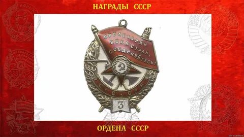 Орден красного трудового знамени колледж