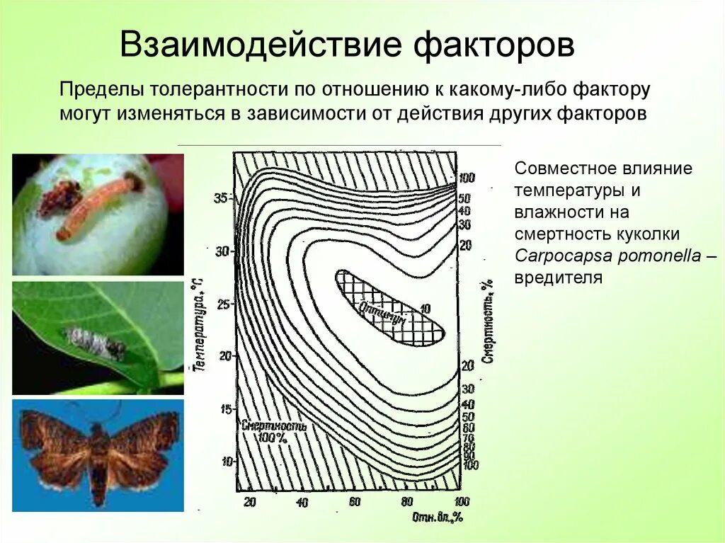 Взаимосвязь экологических факторов. Взаимодействие факторов. Примеры взаимодействия факторов. Закон взаимодействия экологических факторов примеры. Закон взаимодействия факторов