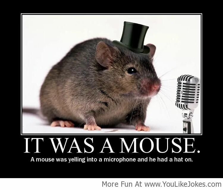 She was a mouse. Mouse yelling. A joke about a Mouse. I am a Mouse. There is a Mouse.