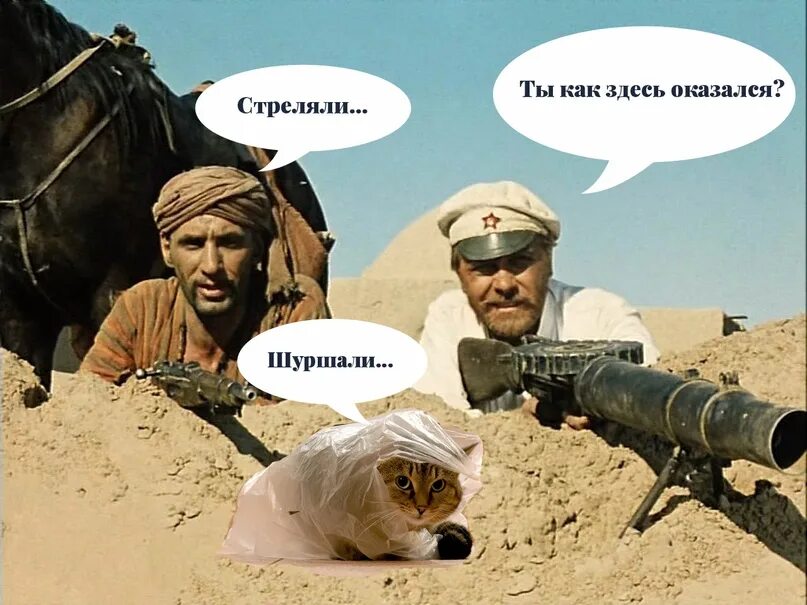 Сюда вставай потому что мне здесь удобней