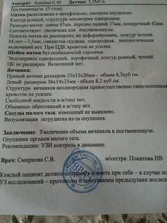 Заключение узи эхо