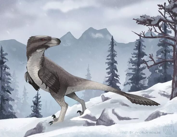 Дромеозавр. Дромеозавр дейноних. раптор дромеозавр. dromaeosaurus albertensis. дромеозавр динозавр.