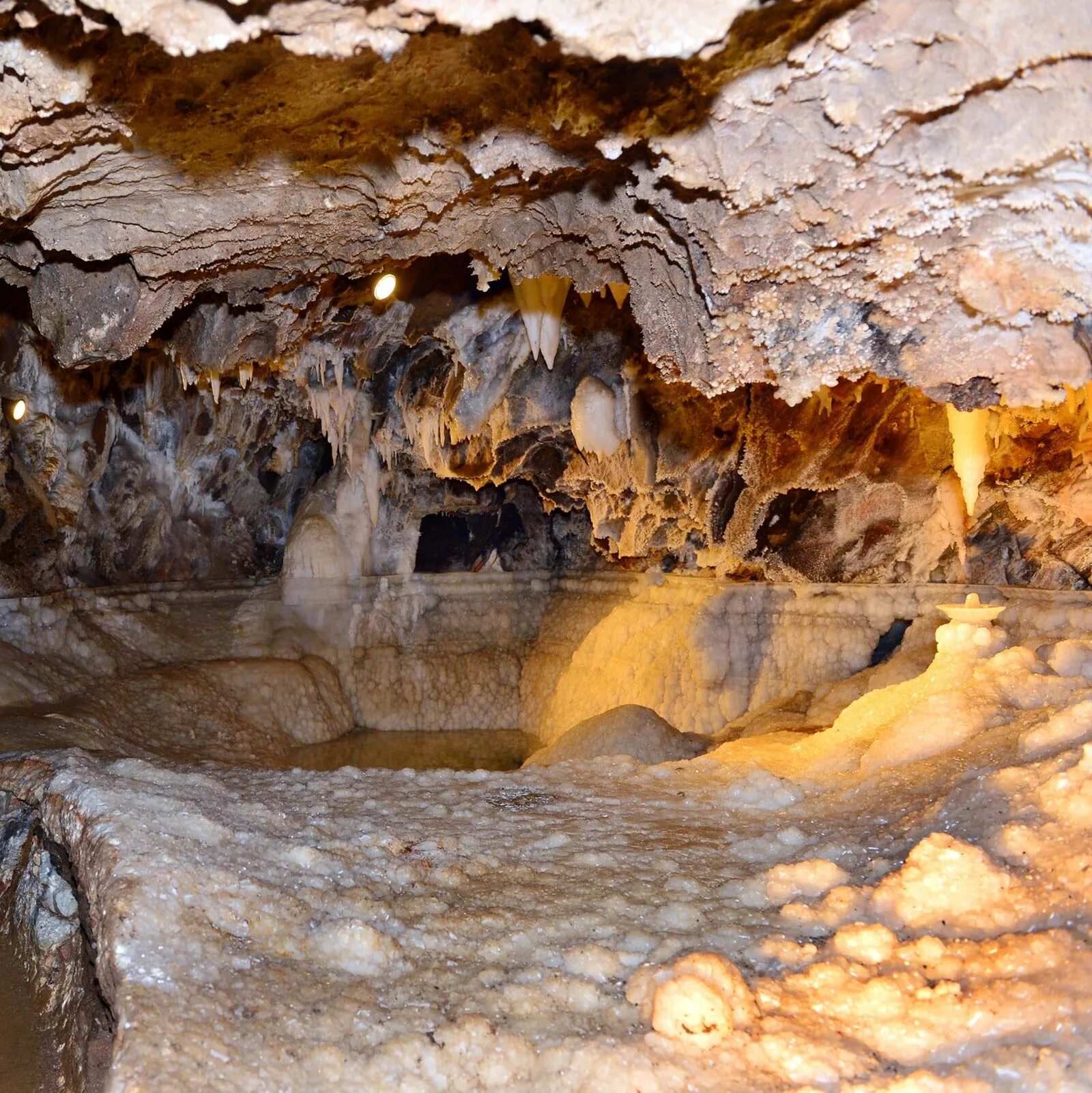 Caves de. Пещера ящур Алтайский край. Арасена пещера. Пещера ящур Западная Сибирь. Пещера Логово гиены.