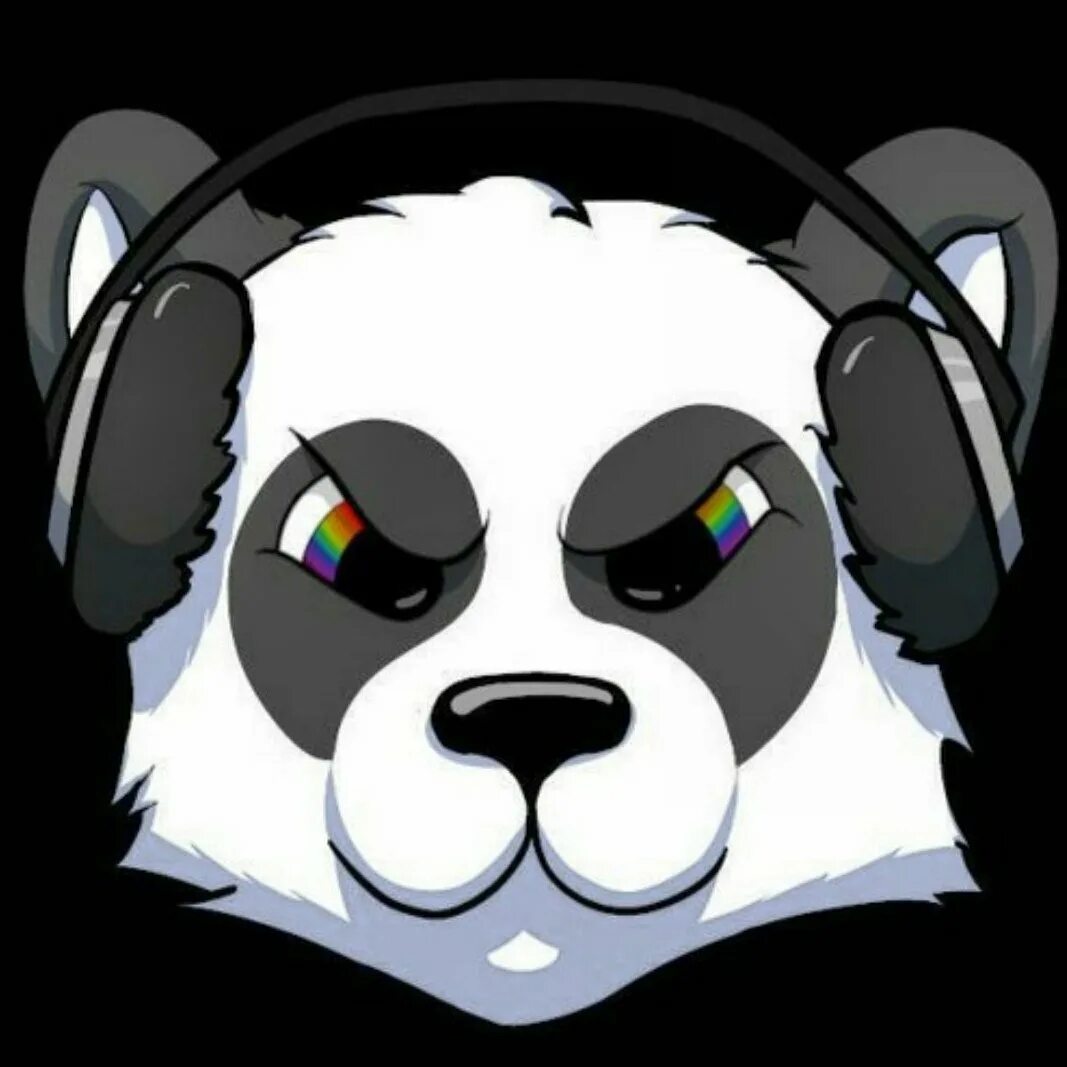 Панда фото. Панда хакер. Панда арт. Панда мьюзик. Электро панда.
