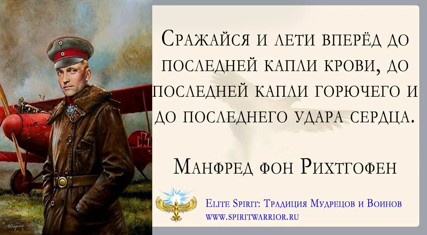 Цитаты сражайтесь. Сражайся до последней капли крови. манфред фон рихтгофен цитаты. цитаты рихтгофена. фразы сражаться до последней капли крови.