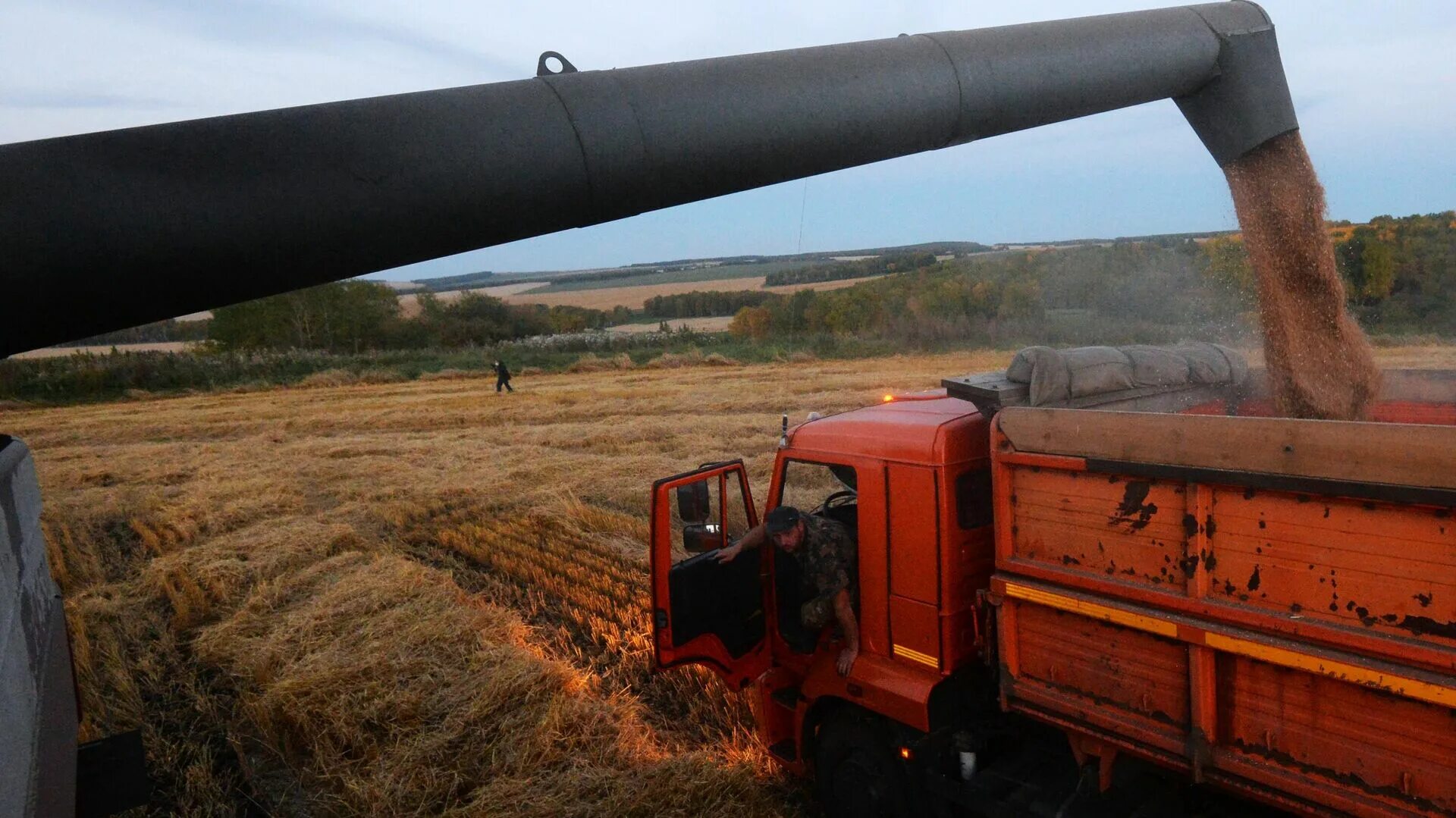 1 5 млн тонн. Уборка зерновых 2020. Уборка зерновых в России. Поставки зерна в житницу. Уборка урожая зерновых в России.