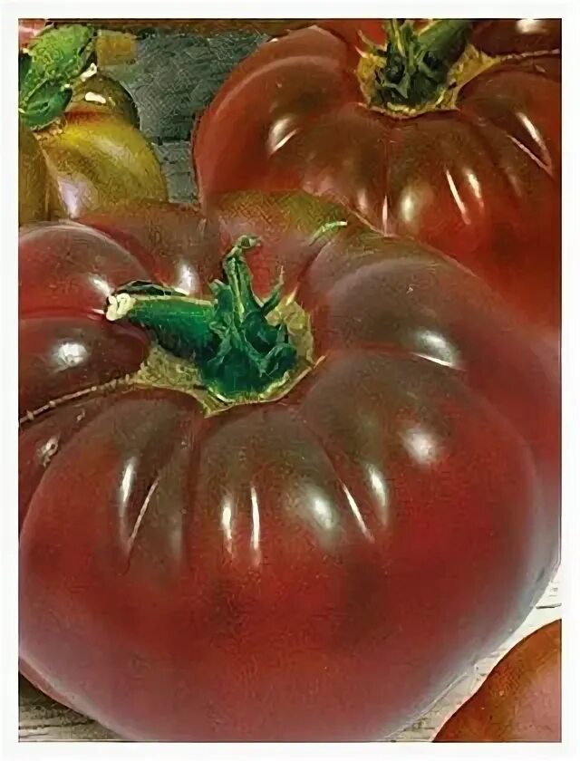 томат черный барон семена сибири сорта. помидоры чёрный барон. томат черный барон отзывы. томат черный барон отзывы. томат хамелеон.