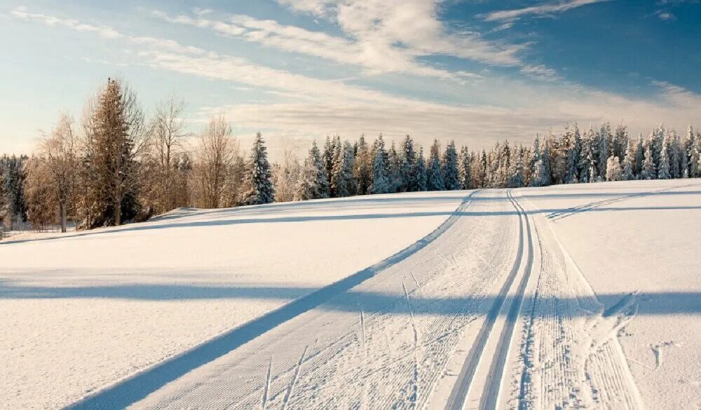 Лыжная трасса. Зимняя Лыжня. Снежная трасса лыжная. Зимнее поле.
