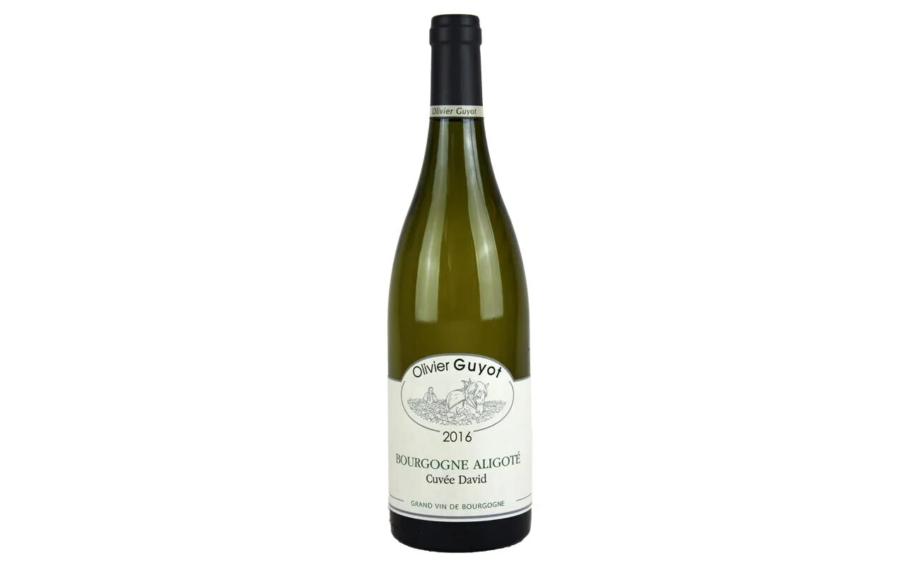 Рислинг алиготе шардоне. Олег репин шенен блан. Тавридия мускат. Узунов алиготе. Рислинг алиготе шардоне.