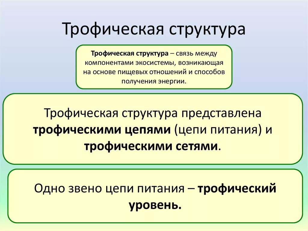 Трофическая структура сообщества. Трофическая структура питания. Трофическая структура экосистемы. Трофическая структура биогеоценоза это.