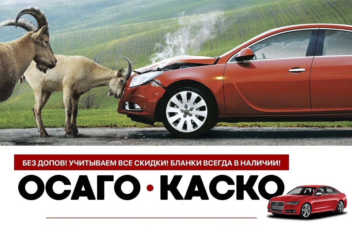 Каско без осаго можно. Каско и осаго. осаго каско страхование. осаго реклама. осаго каско реклама.