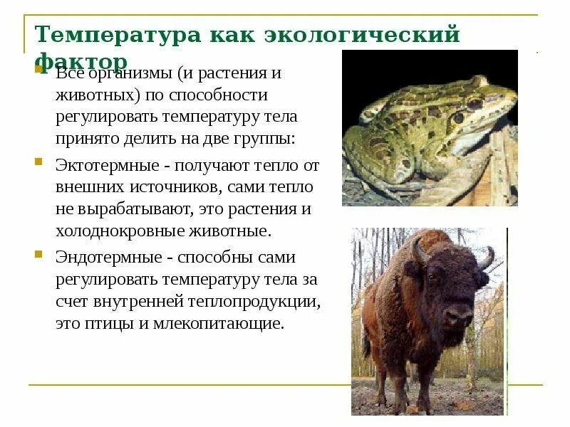 Влияние растений на жизнь животных. Температура как экологический фактор. температура как экологический фактор окружающей среды. примеры температуры как экологического фактора. влияние температуры на животных.