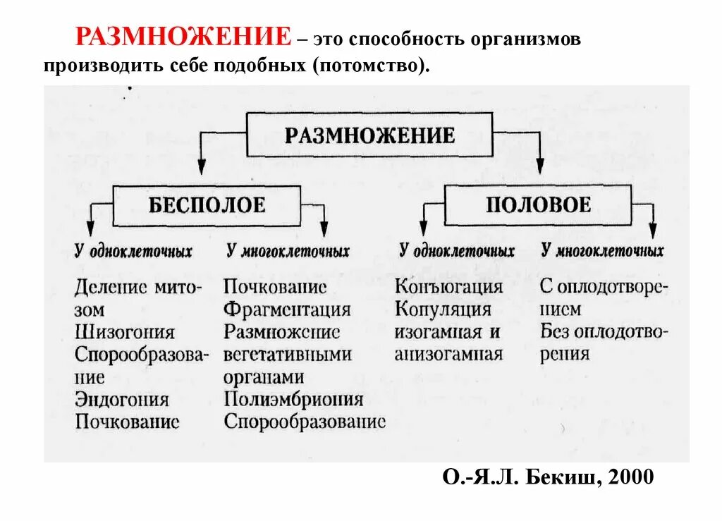 Назовите тип размножения