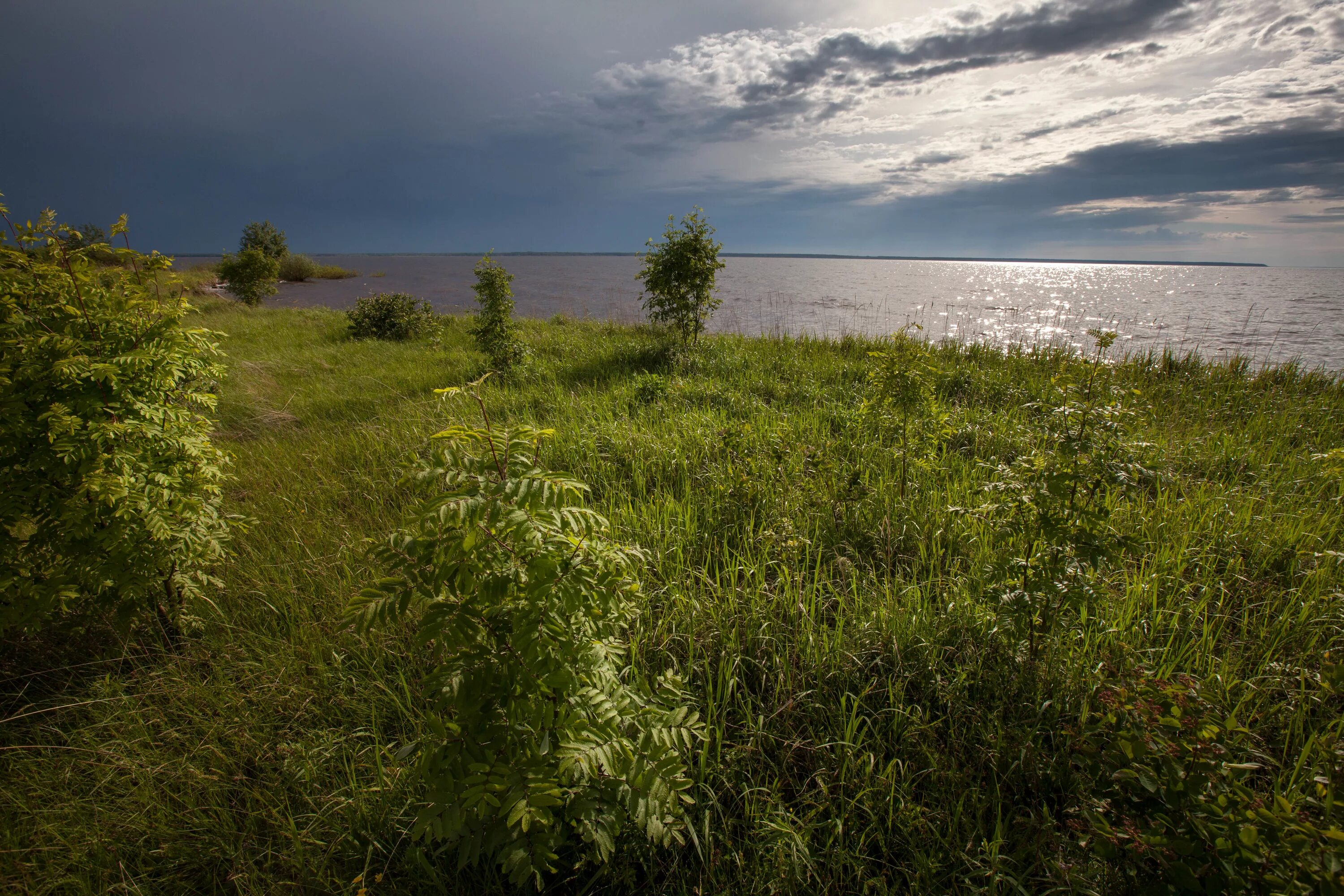 Рыбинские острова