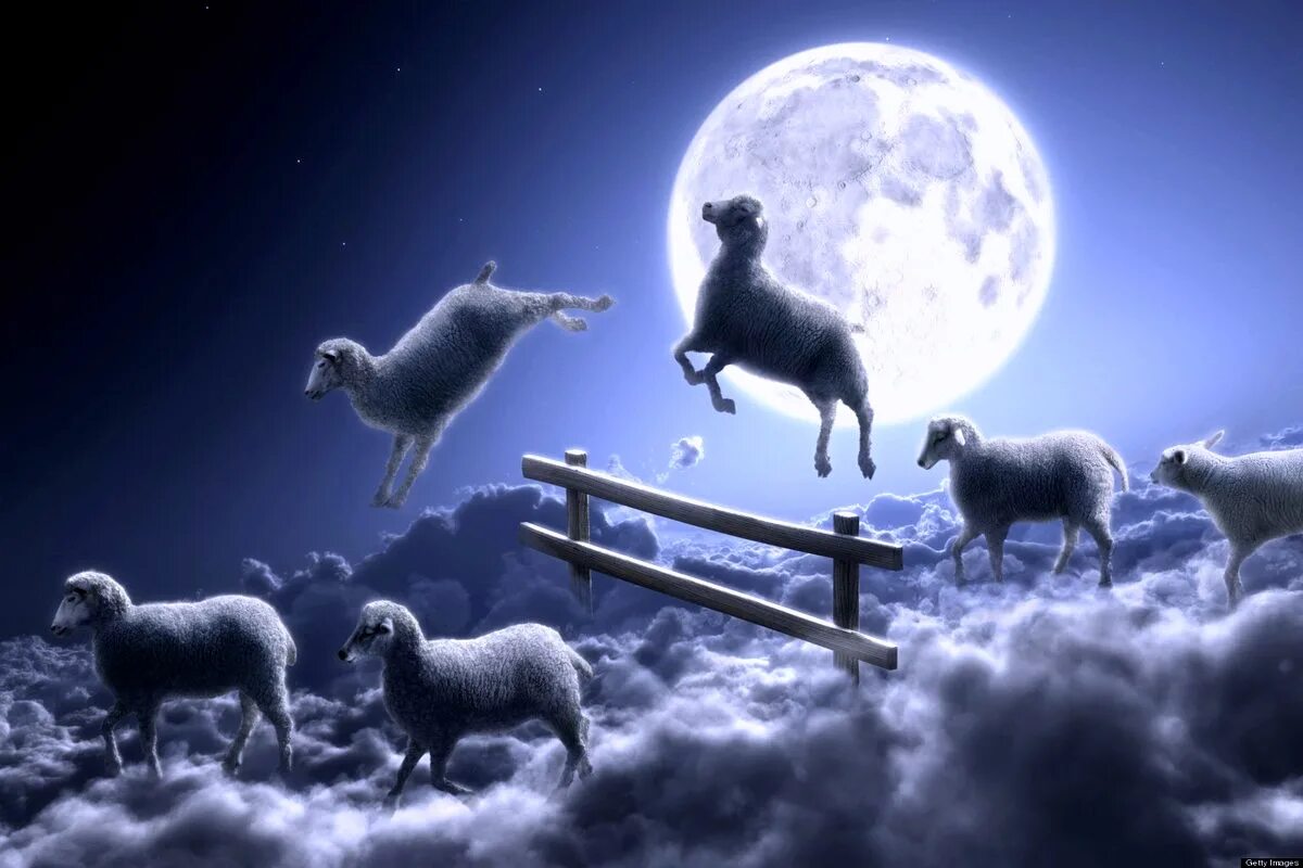 Пастух на звездном небе. Бессонница овцы. Овечки для сна. Овечки перед сном. Овца прыгает.