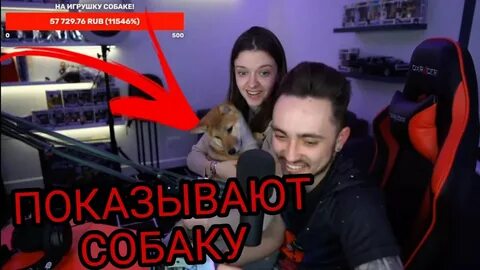 Новый эду