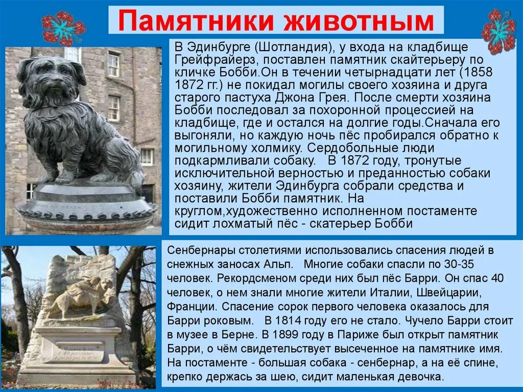 Информация об памятниках. Сообщение о памятниках животных. памятники животным информация. памятники животным презентация. рассказ о памятнике животных.