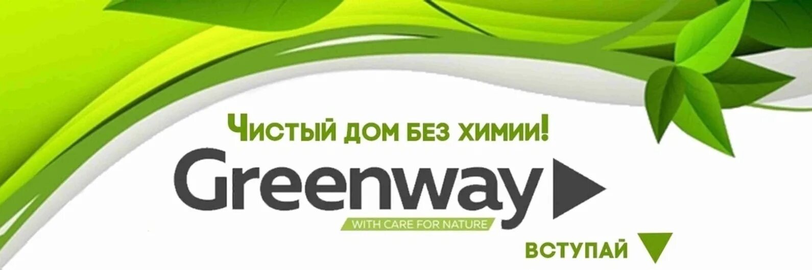 Гринвей глобал вход. Greenway визитка. Визитка Гринвей макет. ЭКОДОМ Гринвей. Гринвей обложка для ВК.