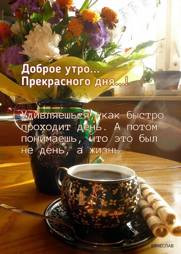 Доброе утро берегите всех. С добрым утречком душевные. с добрым утречком душевные картинки. тёплого утра и хорошего дня. теплые поздравления с добрым утром.