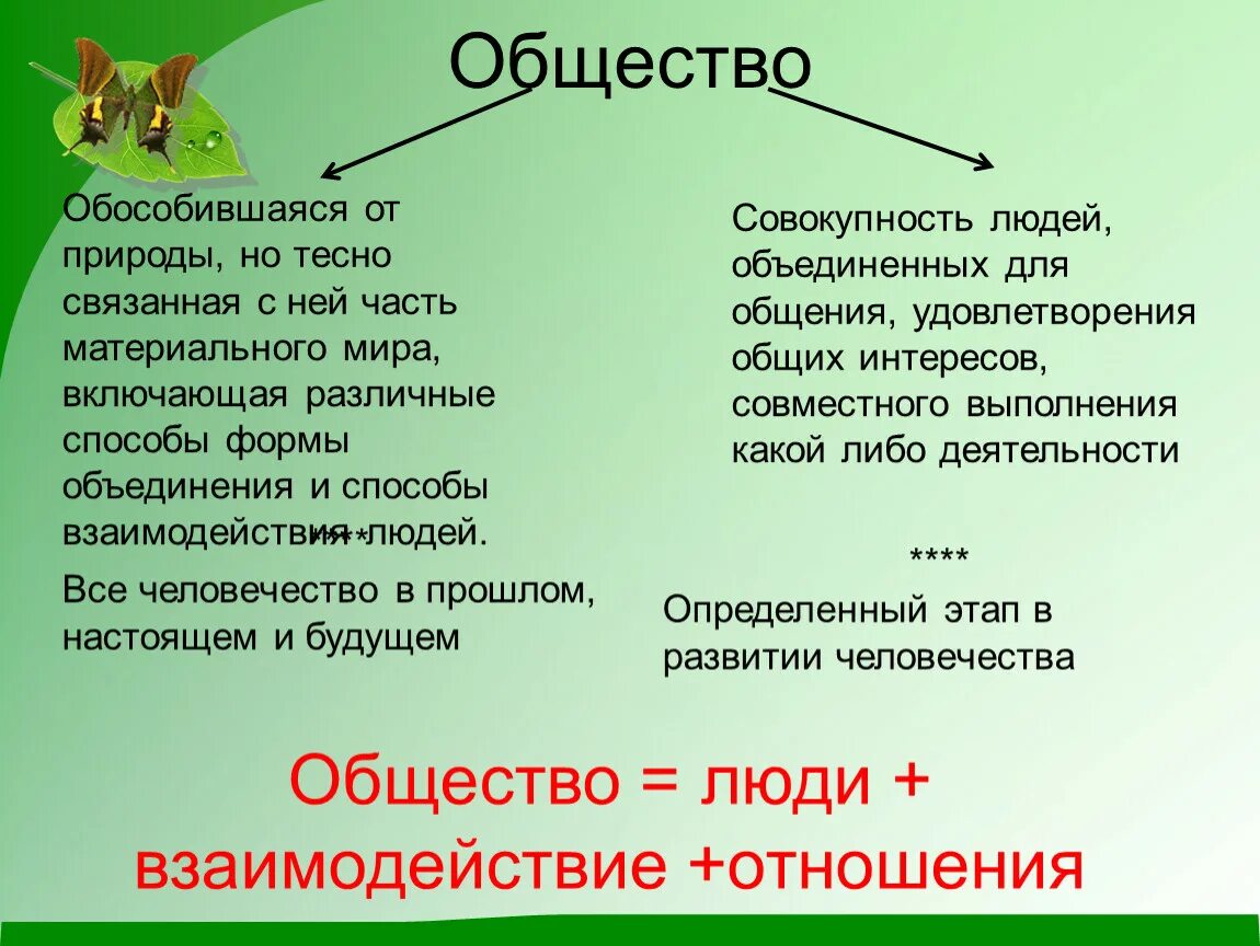 Статьи на тему общество вокруг меня. Человек часть природы и общества. Общество часть природы. Человеческое общество связано с природой. Человек и общество презентация.