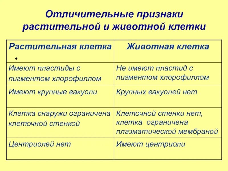 Назовите основные отличительные. Отличительные черты растительной клетки. Отличительные черты клеток растений. Отличительные признаки растительной клетки. Отличительные особенности растительной клетки.