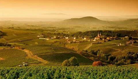 Bourgogne des