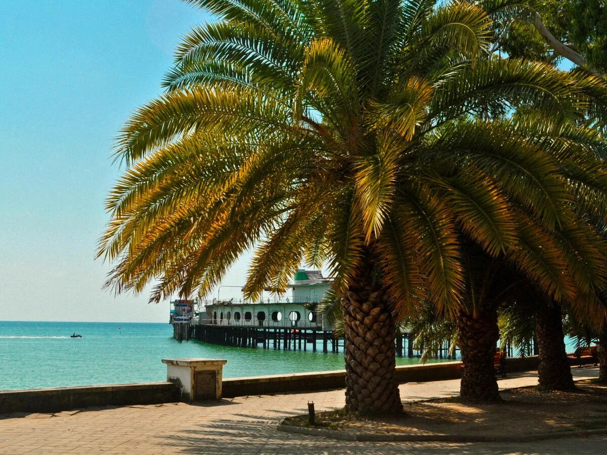 абхазия сухуми море пляж. сухум пляж набережная. абхазия сухуми пэрадайз. абхазия сухуми море пляж. абхазия сухум море.