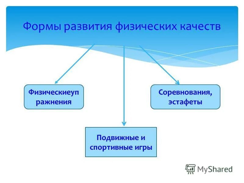 Физические основы воспитания физических качеств