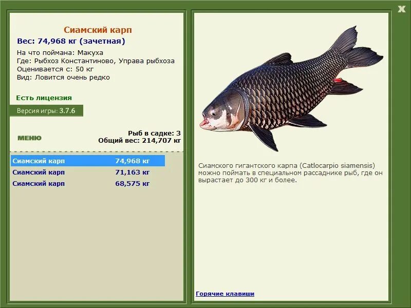 русская рыбалка 3 рыбхоз. рыба бестер взрослая особь сколько весит. карповая заводь русская рыбалка 3 ямки. рыбхоз константиново русская рыбалка. рр3.