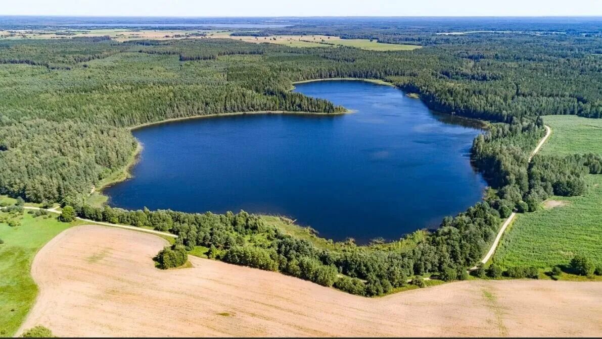 Озеро глубокое белоруссия. Полоцк озеро глубокое. Озеро глубокое беларусь. Озеро глубокое белоруссия. Полоцк озеро глубокое.
