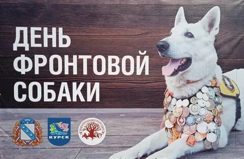 День собак 2023