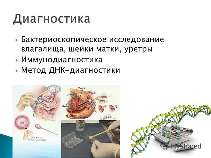 бактериоскопический метод исследования. бактериоскопические методы исследования в гинекологии. бактериоскопическое исследование в гинекологии. бактериоскопическое исследование в гинекологии. бактериоскопическое исследование мазков из влагалища.