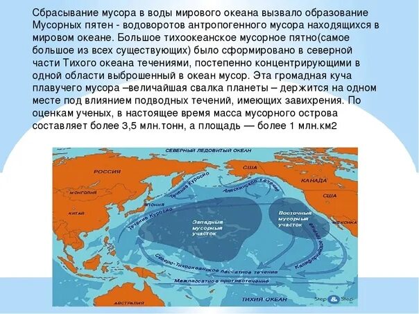 Мусорный континент расположен в океане