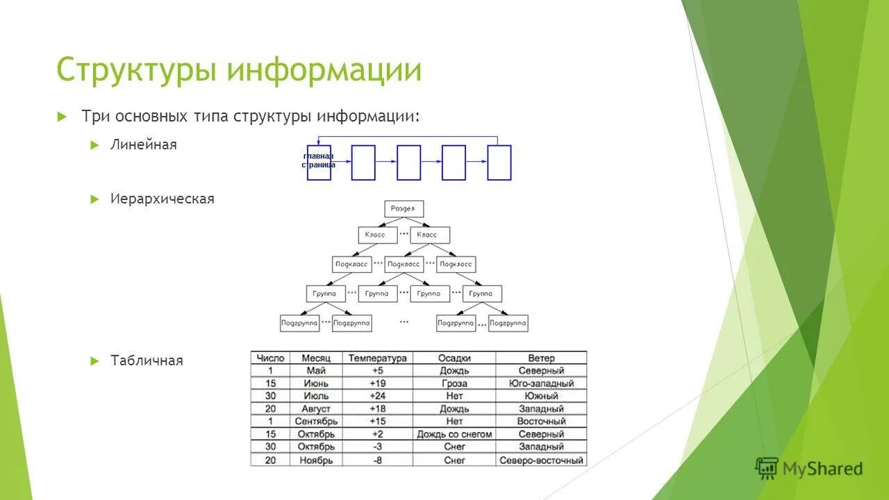 Состав информации текста. Структура информации. Линейные структуры данных. Структурирование информации. Структуризация информации.