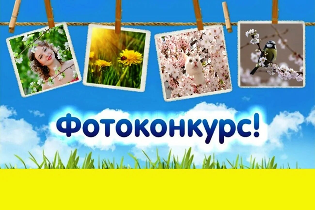 Фотоконкурс лето. Конкурс фотографий природа. Фотоконкурс на тему лето. Фотоконкурс надпись. Фотоконкурс для детей