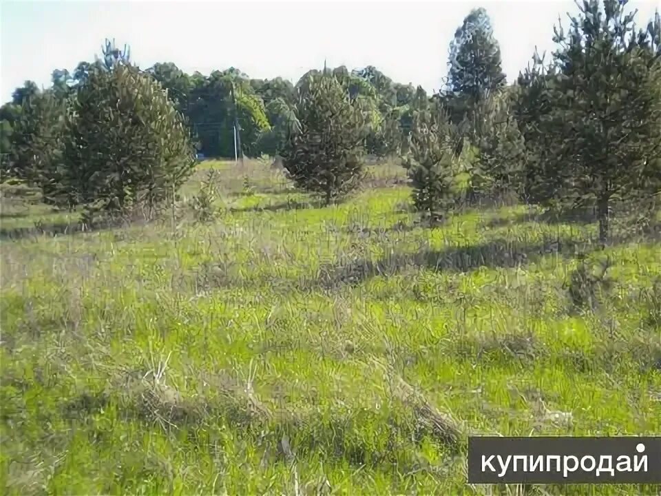 Продам земли с х назначения