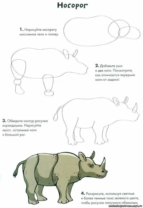 Схема поэтапного рисования носорога. Как рисовать носорога для детей. Поэтапное рисование носорога для детей. Нарисовать носорога поэтапно карандашом для детей.