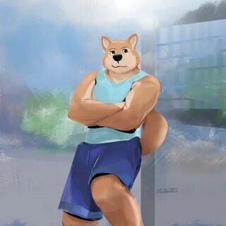 Ace furry