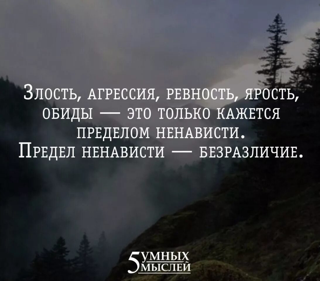 Ненависть можно. Цитаты про злость. цитаты про ненависть. высказывания о ненависти. фразы про злость.