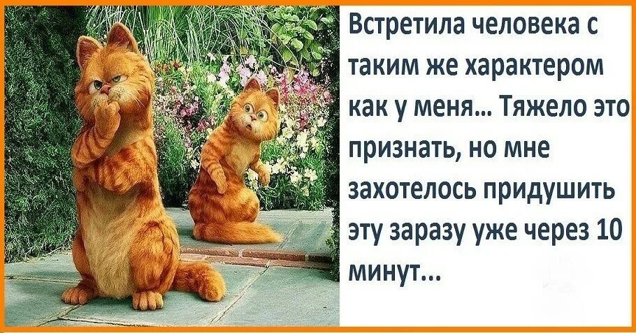 надпись на футболке для мужчины. и с таким. кружки с медведем с таким защитником как я можно спать спокойно. и с таким. кружка доставка.