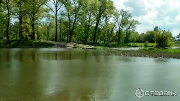 Отзыв о Парк "Боева дача" (Россия, Курск) Отличное место для спорта и отдыха.