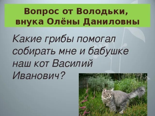 Из рассказов олены даниловны. Кот Иваныч Скребицкий. Рассказ кот Иванович. Презентация из рассказов олёны Даниловны.