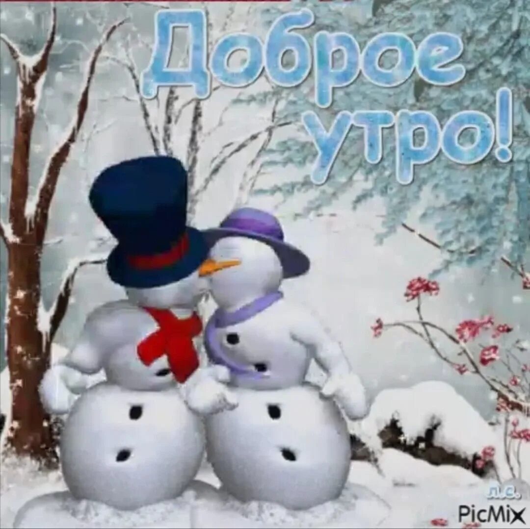 Первое утро февраля картинки. Доброе зимнее утро. Хорошего зимнего дня. Доброго зимнего дня. Зимний день.