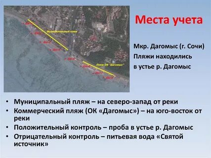 Дагомыс предложение