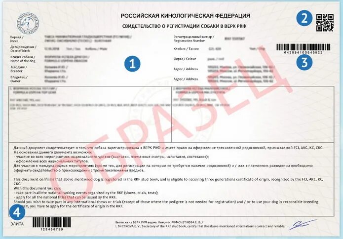Родословная на собаку образец. Верк ркф. Сертификат родословной fci. Верк ркф. Клеймо.