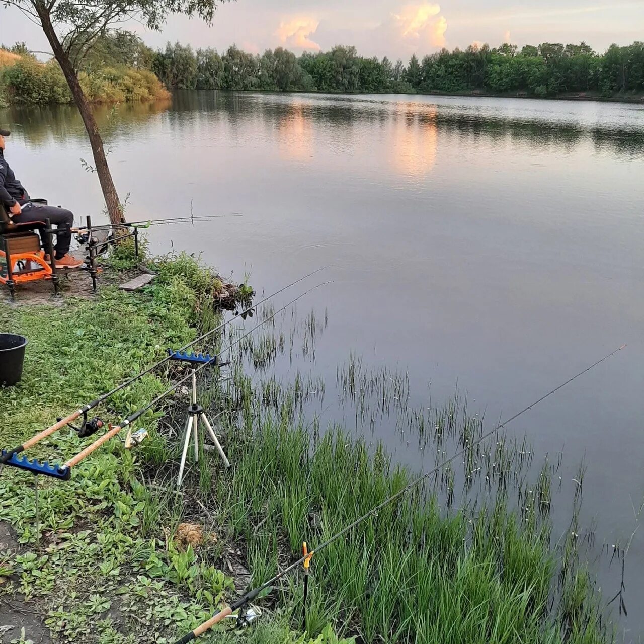Каменка озеро нск рыбалка. Каменка рыбалка. Сабуровщино рыбалка. Озеро каменка калужская область. Каменка калужская область рыбалка.